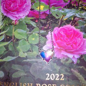 Kendra Scott Ari Rainbow Illusion Pendant SIlver NWOT